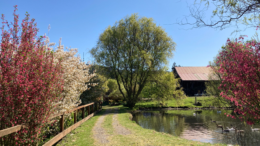 spring pond pathway